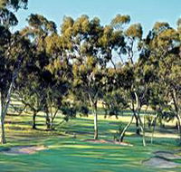 Tanunda Pines Golf Club - Accommodation Directory