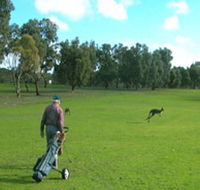 Coffin Bay Golf Club - Accommodation Directory