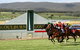 Goulburn And District Racing Club - thumb 2