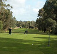 Mount Gambier Golf Club - Accommodation Directory
