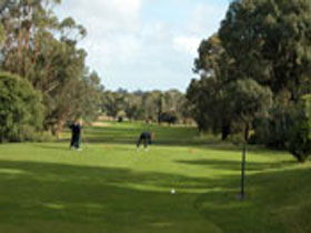 Mount Gambier Golf Club - Accommodation Directory 0