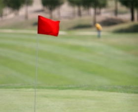 Gold Creek Country Club - Accommodation Directory 0