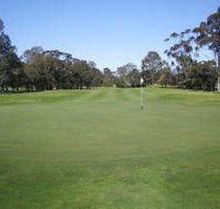 Maffra Golf Club - Accommodation Directory