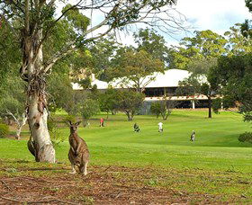 Merimbula NSW Accommodation Directory