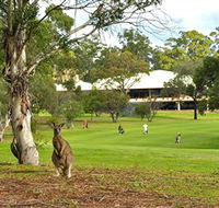 Pambula Merimbula Golf Club - Accommodation Directory