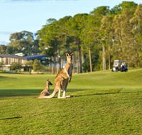 Sanctuary Cove Golf and Country Club - Accommodation Directory