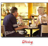 Steelers Club - Accommodation Directory