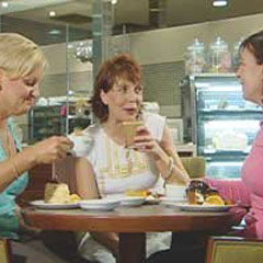 Toronto NSW Accommodation Directory