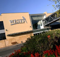 Wests New Lambton - Accommodation Directory