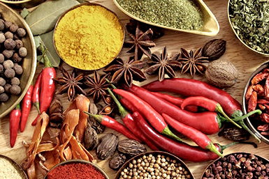 Vamos Melbourne - Accommodation Directory 0