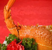 Marigold - Accommodation Directory