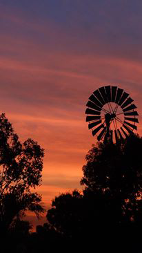 Emerald Springs Roadhouse - Accommodation Directory 5