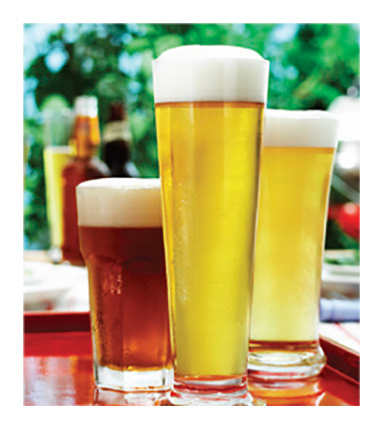 Mission Beach Tavern - Accommodation Directory 2