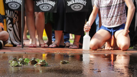 Noonamah Tavern - Accommodation Directory 3