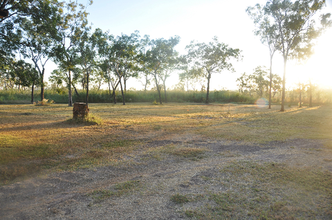 The Bark Hut Inn - Accommodation Directory 2