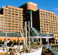 The Atrium Bar - Accommodation Directory