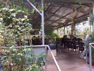 Alice Vietnamese Restaurant - Accommodation Directory 4