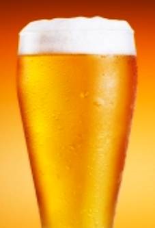 Helensvale Tavern - Accommodation Directory 0