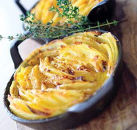 Quattro Lennox Head - Accommodation Directory