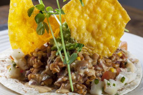 The Beet - Accommodation Directory 4