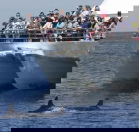 MoonshadowTQC Cruises - Accommodation Directory