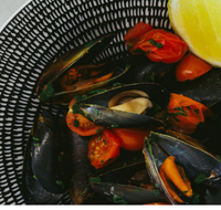 The Italian Diner - Accommodation Directory