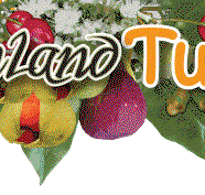 Bushland Tukka Cafe  Catering - Accommodation Directory