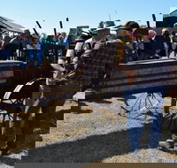 19th Annual Old Wheels In Motion Rally - Accommodation Directory