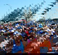 7 Sunshine Coast Marathon - Accommodation Directory