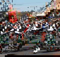 Australian Celtic Festival - Accommodation Directory
