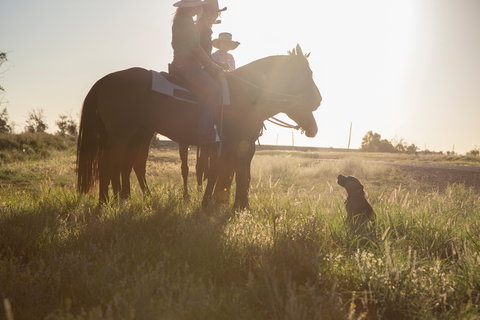 Balonne Cutting Horse Futurity - Accommodation Directory 0