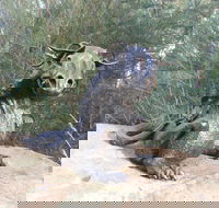 Bathurst Arts Trail - Accommodation Directory