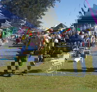 Casino Golf Club Markets - Accommodation Directory