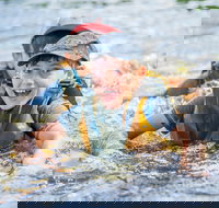 Cave Hill Creek Summer Camp - Accommodation Directory