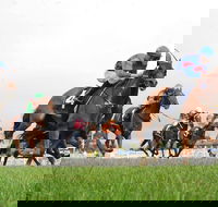 Christmas Cup Race Day - Accommodation Directory