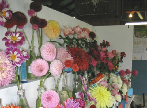 Dalgety Show - Accommodation Directory 0