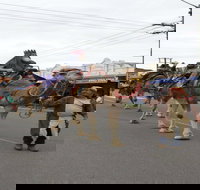 Dowling Street Christmas Party - Accommodation Directory