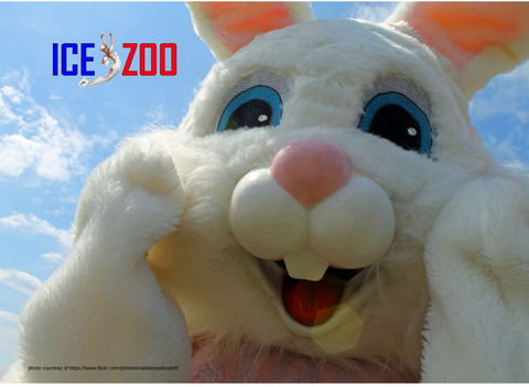 Easter Egg-stravaganza - Accommodation Directory 0