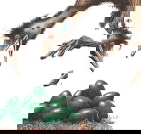 Edward the Emu - Accommodation Directory