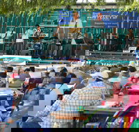 Festival in the Park - Accommodation Directory