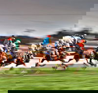 Grafton July Racing Carnival - Accommodation Directory