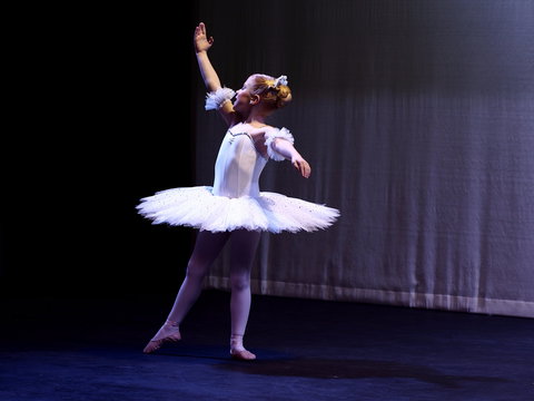 Hamilton Eisteddfod - Accommodation Directory 2