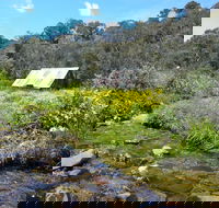 Hedonistic Hiking's Falls Creek to Hotham - Accommodation Directory
