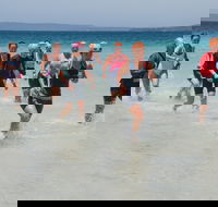 IGA Callala Triathlon Festival - Accommodation Directory