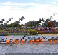 Jacaranda Dragon Boat Races - Accommodation Directory