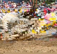 Jindabyne's Man From Snowy River Rodeo - Accommodation Directory