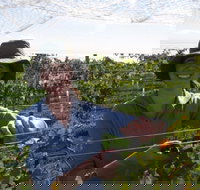 Kingsdale Wines - Cellar Door Wine Tastings - Accommodation Directory