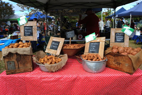 Lawson Park Markets - Accommodation Directory 0