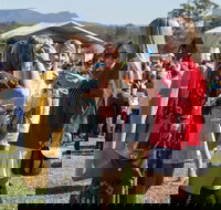 Lovedale Long Lunch - Accommodation Directory