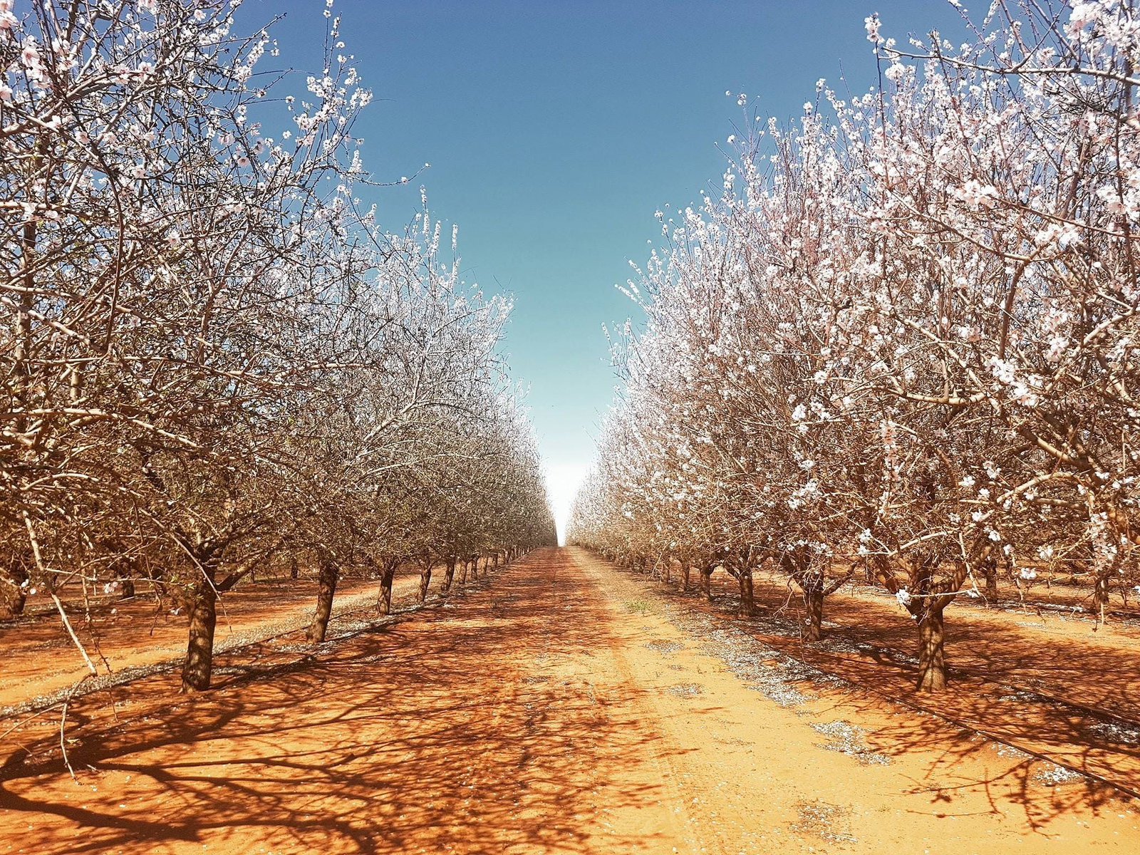 Annuello VIC Accommodation Directory
